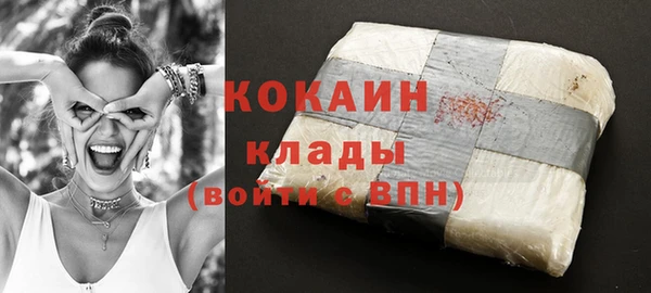 спайс Няндома