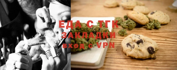 хмурый Алзамай