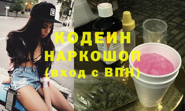спайс Няндома