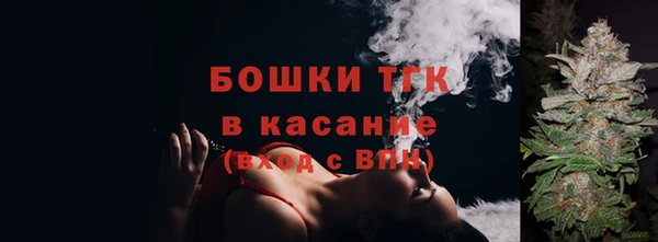 гидропоника Нязепетровск
