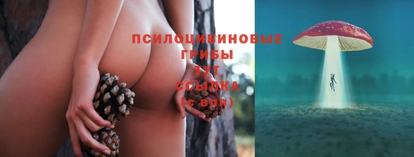гидропоника Нязепетровск