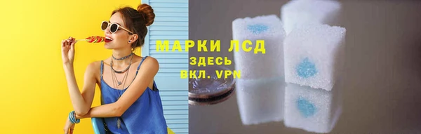 хмурый Алзамай