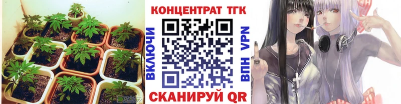 ТГК жижа сколько стоит Мирный